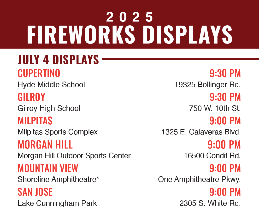 Leave Fireworks to the Professionals this 4th of July