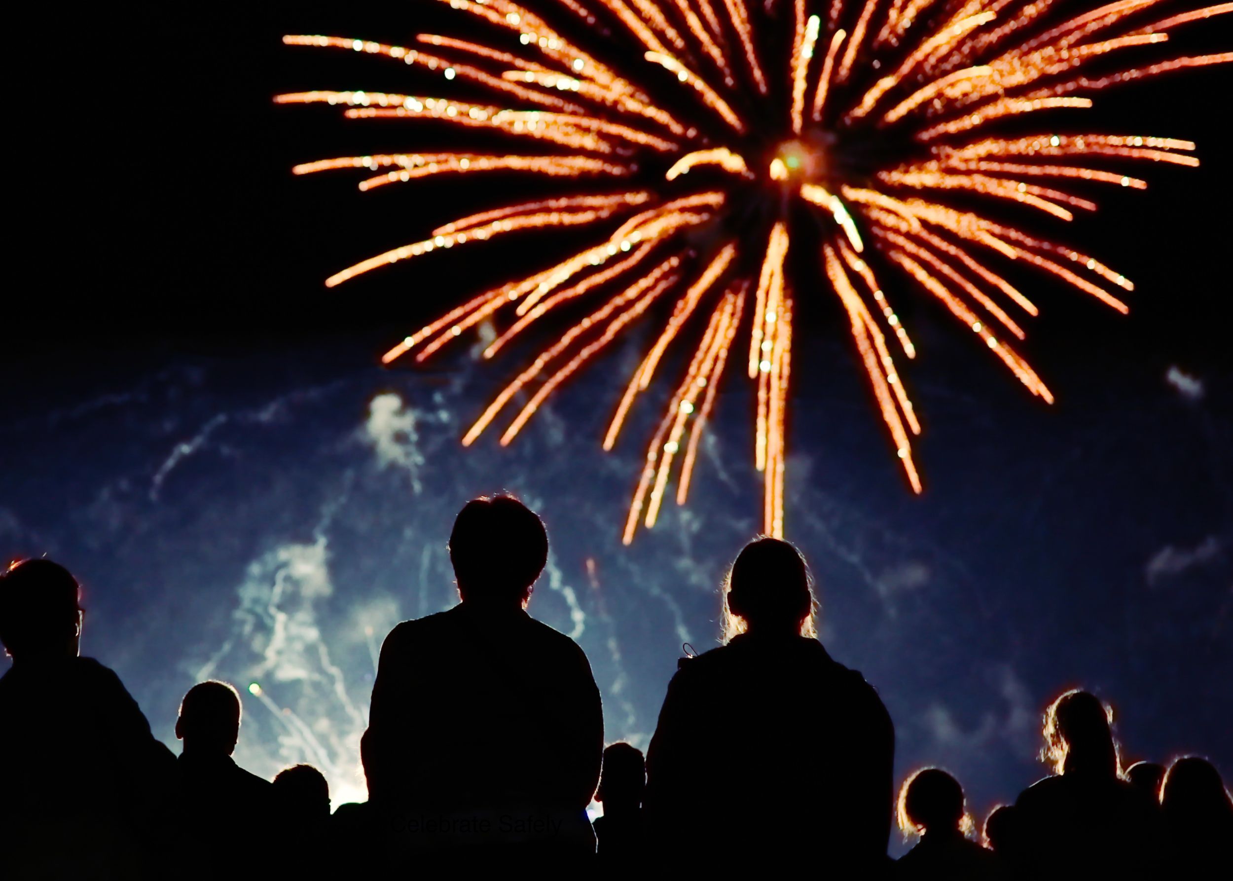 Leave Fireworks to the professionals this 4th of July